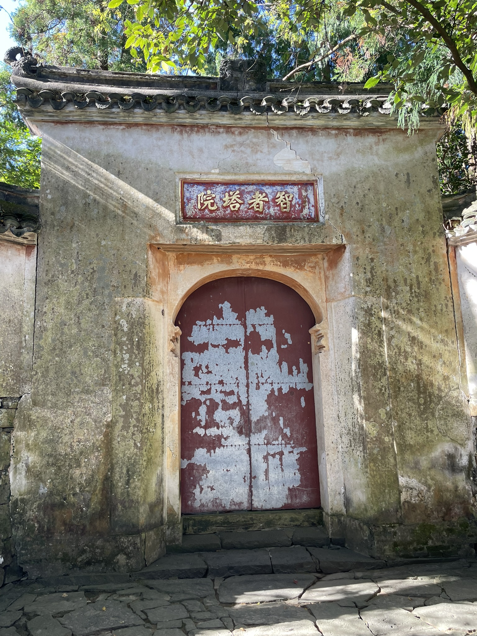 17CAE9D9-D9FA-4735-957C-3CF8FF478406_1_102_o.jpeg 17CAE9D9-D9FA-4735-957C-3CF8FF478406_1_102_o.jpeg