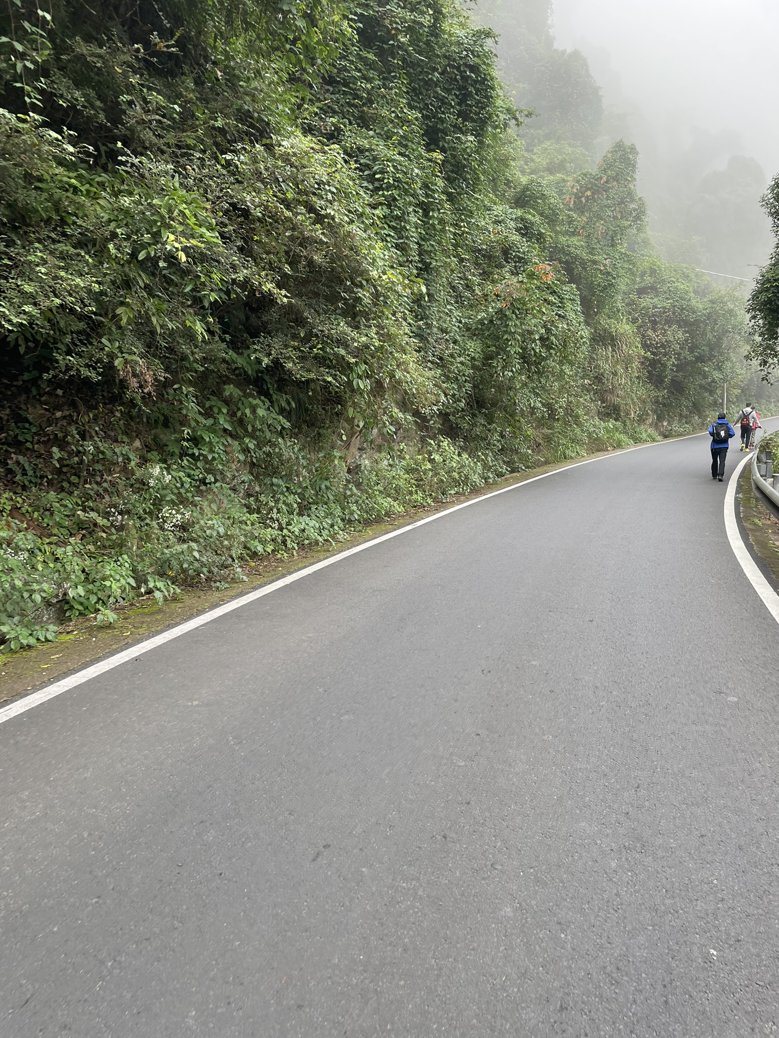 96CF18B2-D0CE-4A90-A0BF-00FC0C6BBAFA_1_102_o.jpeg 96CF18B2-D0CE-4A90-A0BF-00FC0C6BBAFA_1_102_o.jpeg