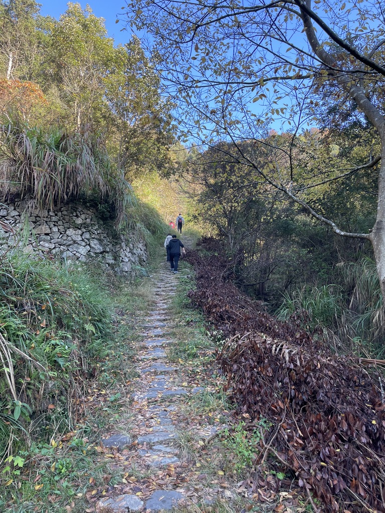 A11F6F82-10CA-4AA7-9845-14A22F5A13C2_1_105_c.jpeg A11F6F82-10CA-4AA7-9845-14A22F5A13C2_1_105_c.jpeg