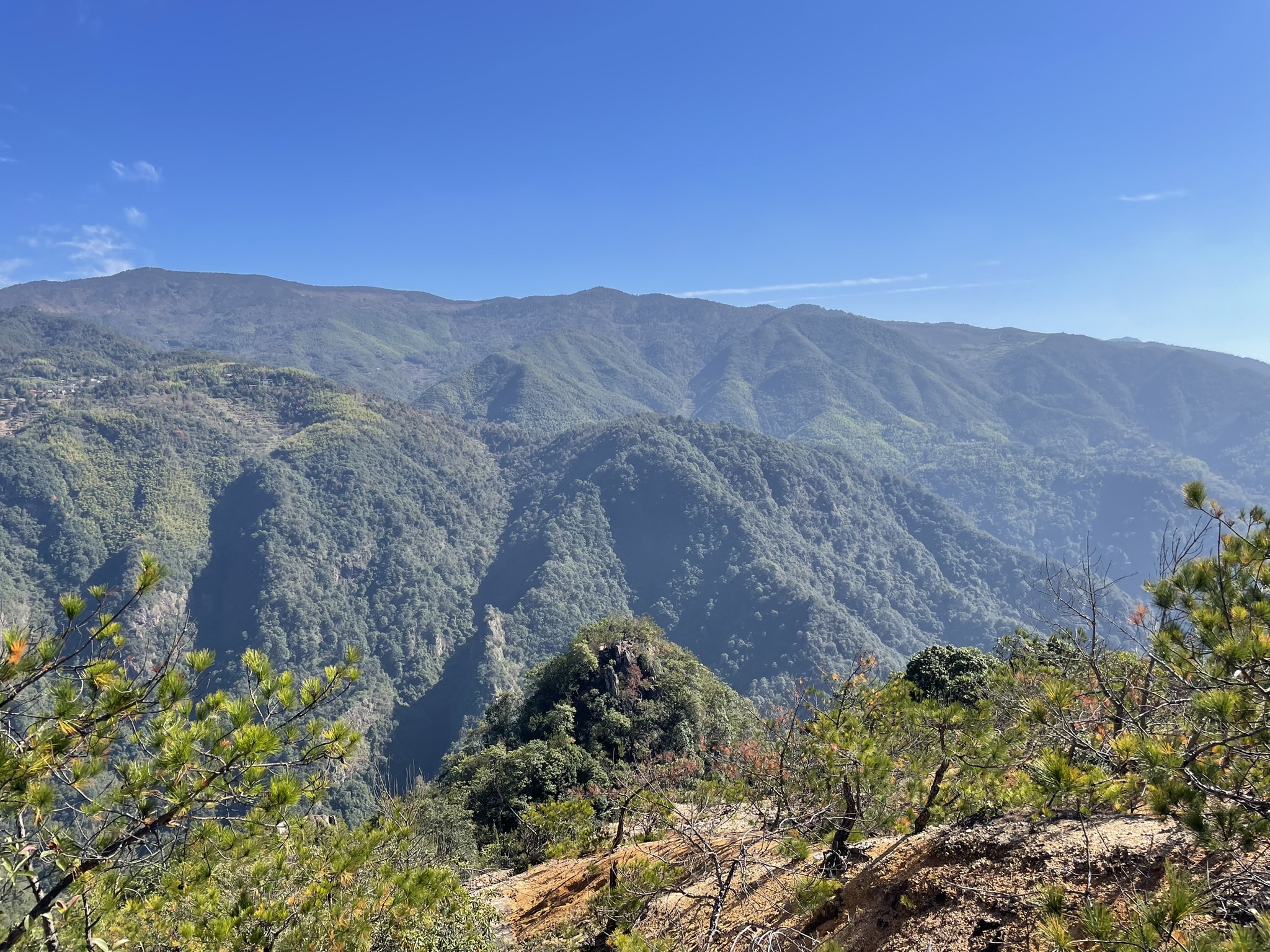 1763AE7B-2A16-451B-977F-1E50B601C8D3_1_102_o.jpeg 1763AE7B-2A16-451B-977F-1E50B601C8D3_1_102_o.jpeg