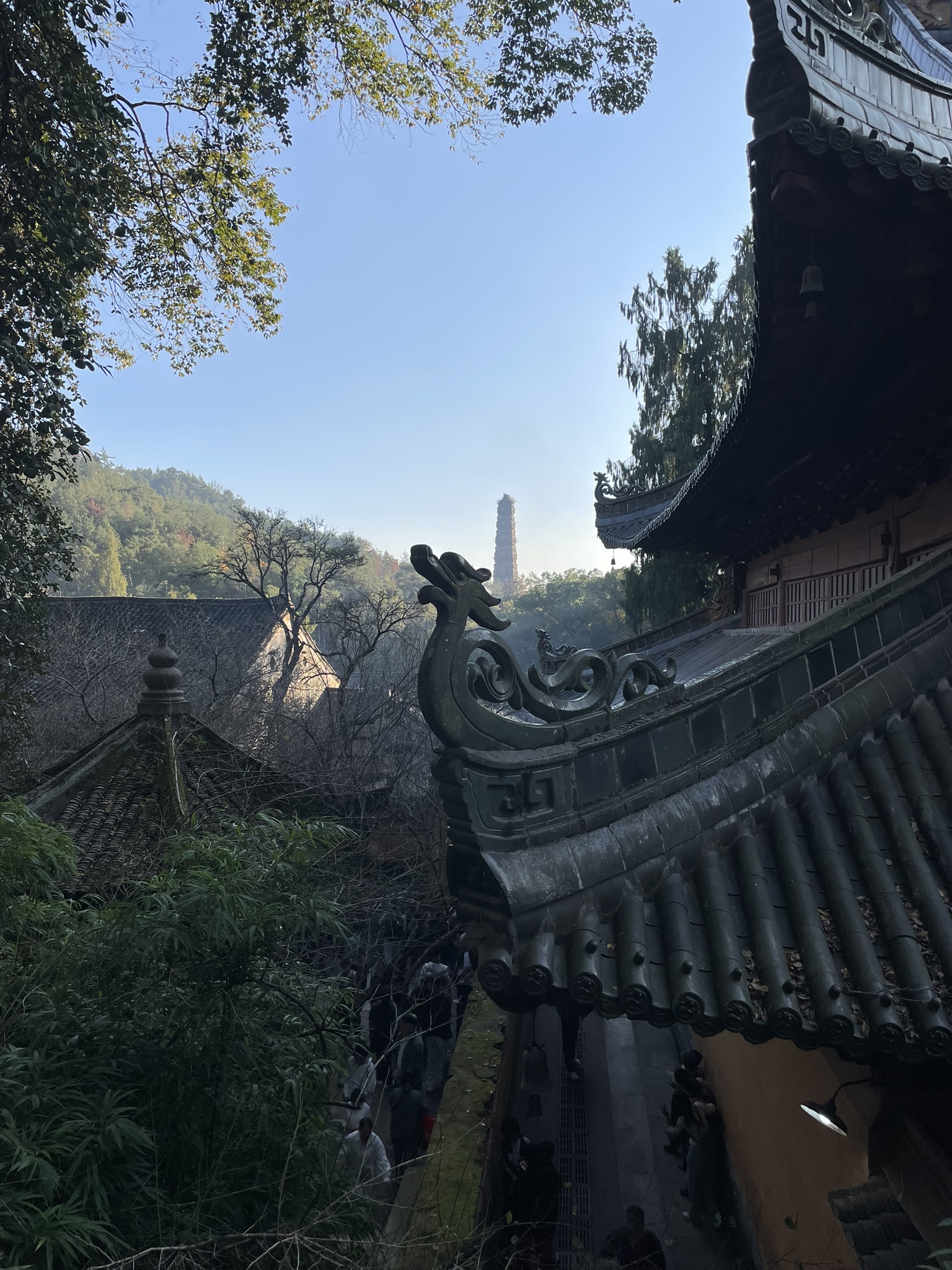 E2695C6E-BA9F-42EE-89F9-3A451B4607ED_1_102_o.jpeg E2695C6E-BA9F-42EE-89F9-3A451B4607ED_1_102_o.jpeg